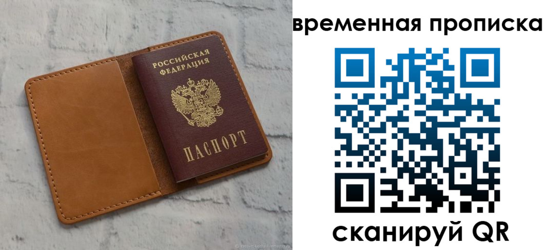 прописка поиск в Ершове